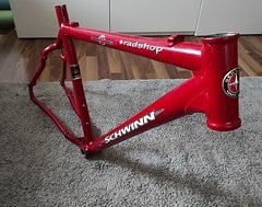 Foto von Sc homegrown 19" Rahmen retro Vintage 26"