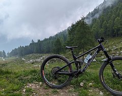 Foto von Norco Sight C2 2021 L Enduro/All-Mountain Carbon Fox Performance Shimano