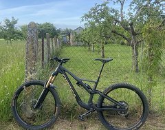 Foto von Orbea Rallon