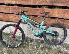 Foto von Zerode Katipo
