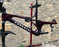 Foto von Forestal Cyon XL