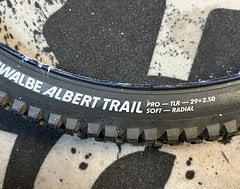Foto von Schwalbe Albert Trail Pro Radial 29x2,5 - 1x gefahren