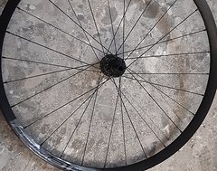 Foto von Roval Traverse aus Specialized EVO 2022 Hinterrad