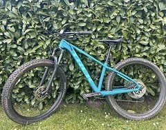 Foto von Trek Roscoe