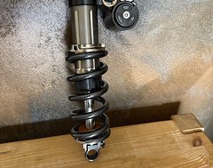Foto von EXT Progressiver E-Storia Coil Dämpfer 2 x Federn
