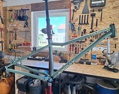 Foto von Knolly Tyaughton Steel M