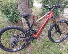 Foto von Mondraker Crafty Carbon RR MJ: 2025 Größe L