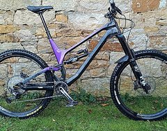 Foto von Canyon Torque CF(Carbon) 8.0 (XL)