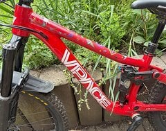 Foto von Vpace Fred 26