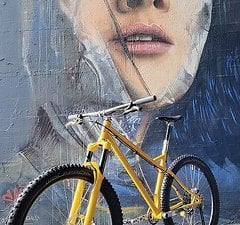 2Soulscycles Quarterhorse