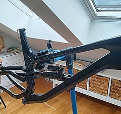 Canyon Torque CF Rahmenset XL