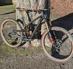 Propain Tyee CF 5 | Gr. M | 29" | Enduro-MTB