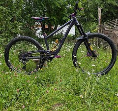 Crossworx Bikes Cross Worx Dash Mullet Custom Gr S