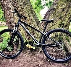 Specialized P3 Hardtail-Freestyler Modell 2020