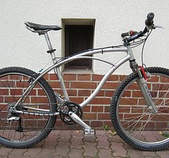 Retro Mtb. Wer kennt diesen Rahmen?