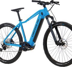 Checker Pig Active Pig Diamant Bosch Performance Line CX 625 Wh
