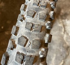 Specialized Purgatory 29x2.4 Grid T9