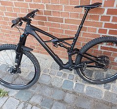 Specialized Enduro Elite Größe L