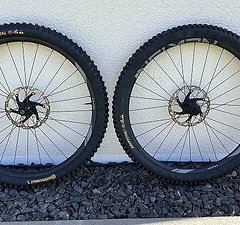 Newmen EVOLUTION SL A.30 29"