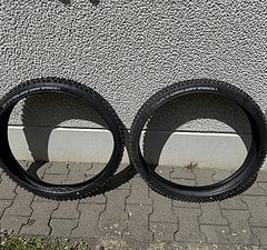 Schwalbe Magic Mary 29x2.5 + Albert 29x2.5 RADIAL (neuwertig)