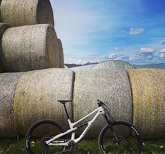 Canyon Spectral 125 CF 7 Größe L