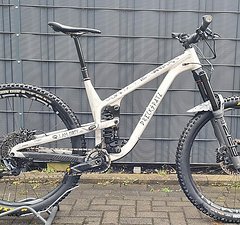 Propain 2020 Tyee AL 29" L