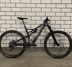 Specialized Enduro S-Works 29" Gr. L Carbon Rahmen