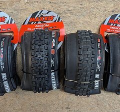 Maxxis Assegai DHR II 29" DD DH maxxGrip 2.4 2.5 NEU