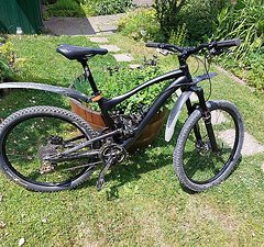 Canyon Strive AL 160 mm, custom / mullet