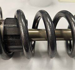 EXT storia V3 205×65mm trunnion