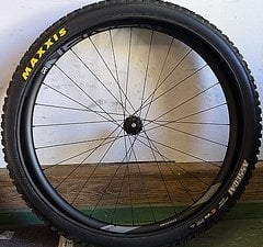 Newmen Evolution SL E.G.30 HR 29" SRAM XD MAXXIS Assegai neu