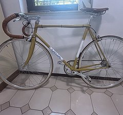 Viva „Pista“ singlespeed