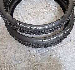 Schwalbe Albert Gravity Radial 29x2.5