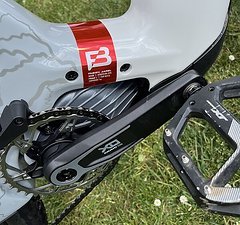 Canyon Strive ON CFR LTD