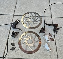 Magura Louise FR