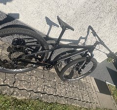 STORCK Rebel Seven Pro