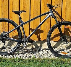 Dartmoor Primal 29" custom Trail Hardtail in L, NEU!!