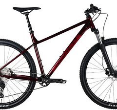 Norco Storm 1 Hardtail Red/Red XC 29er MTB Neu