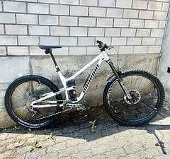 Propain Tyee AL 2024 29 RAW