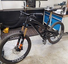 YT Industries Capra CF Pro Race