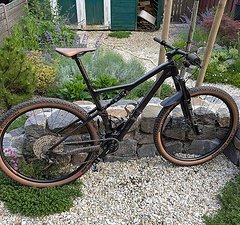 Rose Bikes Thrill Hill Größe L - Kaufdatum Dez 2021
