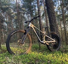 Marin Bikes Alpine Trail Custom XL