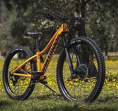 Dartmoor Kinder MTB Sparrow Junior Mullet 26"/24" | Glossy Copper Orange