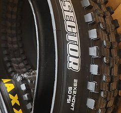 Maxxis Dissector - 29 x 2.40 WT 3C EXO Maxx Terra