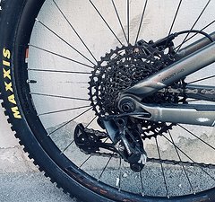 Trek Remedy