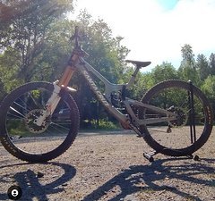 Santa Cruz V10 29" L + Ersatz LRS
