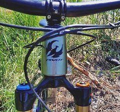 Pivot Cycles Firebird