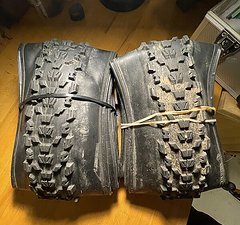 Maxxis Ardent  29x2,4 Exo TR
