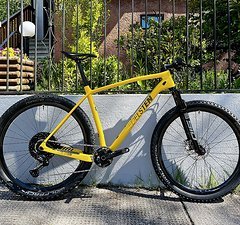 Edelsten MTB HT1