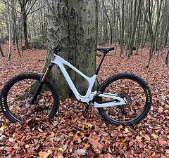 Bold Linking Trail 29 Zoll Rahmen in M